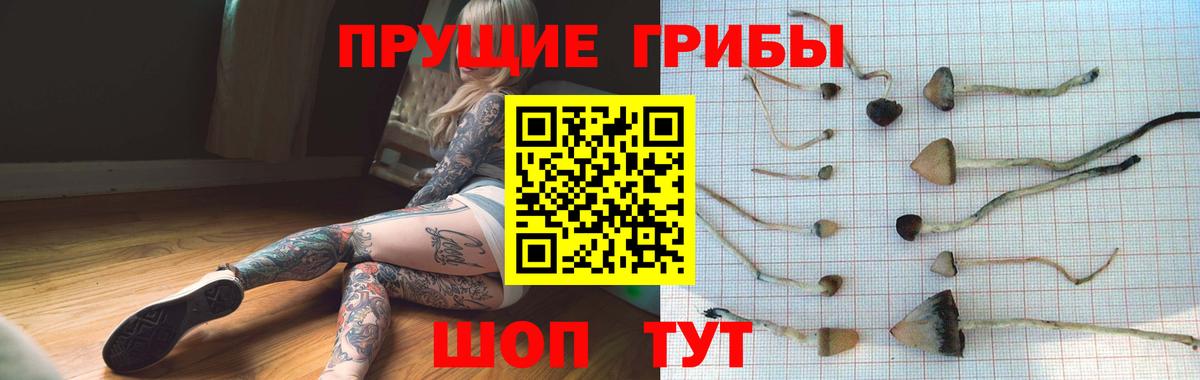 Галлюциногенные грибы мицелий Губаха