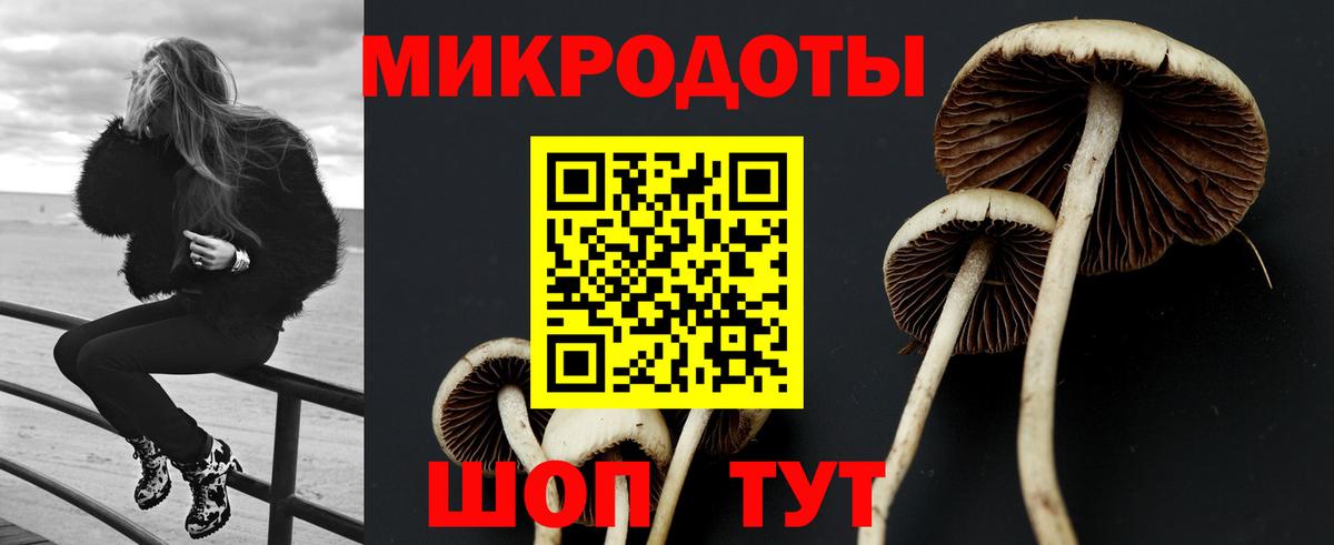 Губаха  наркота  Вход с VPN  Галлюциногенные грибы ЛСД 